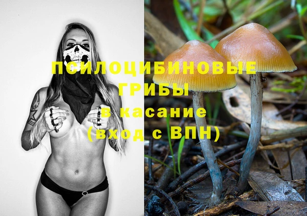 PSILOCYBIN Горняк