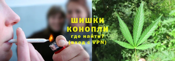 PSILOCYBIN Горняк