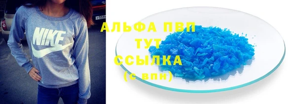 PSILOCYBIN Горняк