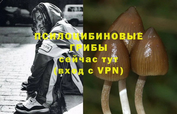 mdpv Горнозаводск