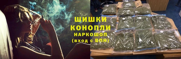 mdpv Горнозаводск