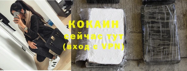 PSILOCYBIN Горно-Алтайск