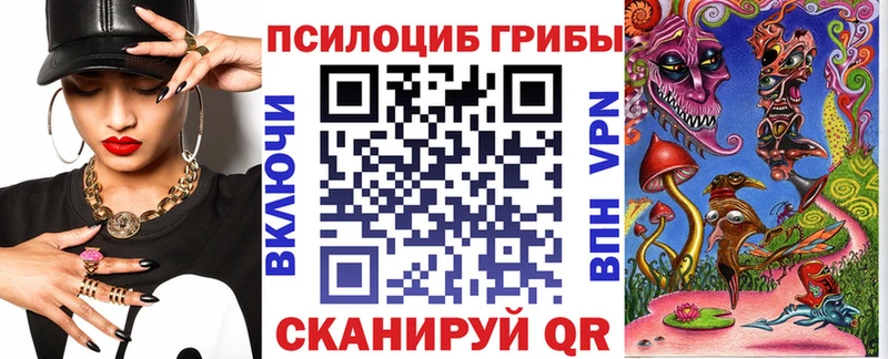 Купить  Сельцо  Галлюциногенные грибы Psilocybe 